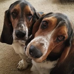 Meet your Posher, Beth